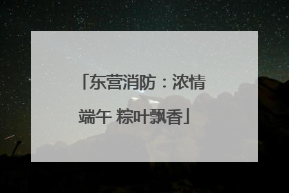 东营消防：浓情端午 粽叶飘香